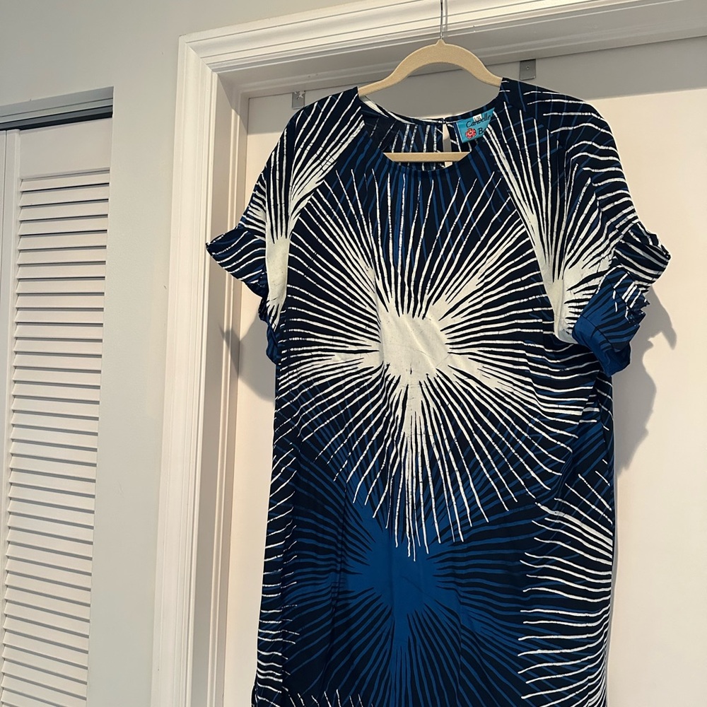 Women's Blue & White Graphic Shift Dress